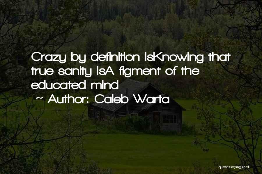 My Mind's Going Crazy Quotes By Caleb Warta