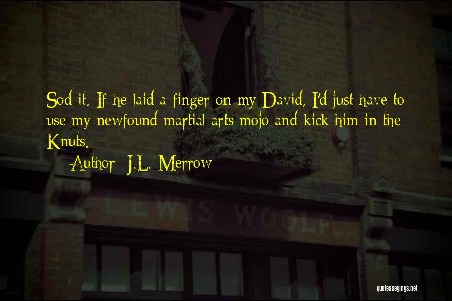 My Mojo Quotes By J.L. Merrow