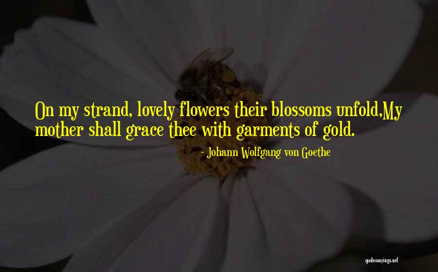 My Mother Death Quotes By Johann Wolfgang Von Goethe My Mother Death Quotes By Johann Wolfgang Von Goethe