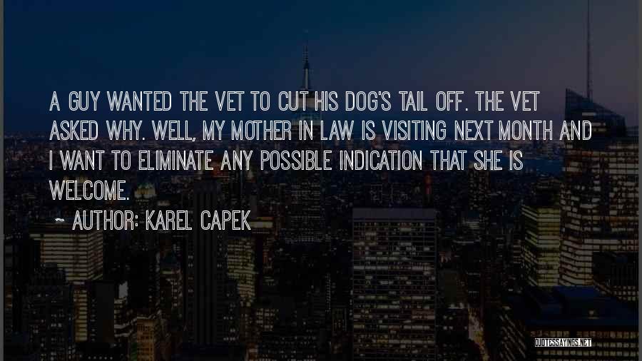 My Mother In Law Quotes By Karel Capek