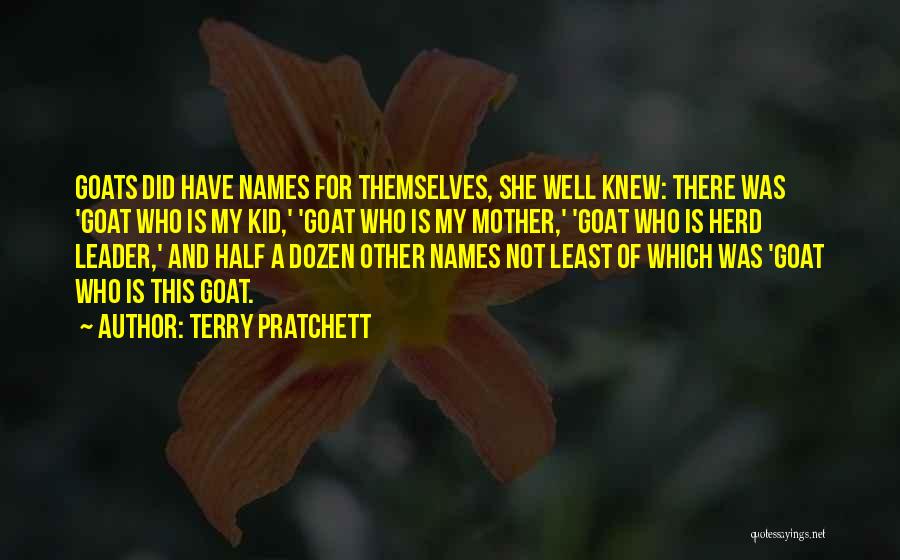 My Mother Is My Quotes By Terry Pratchett