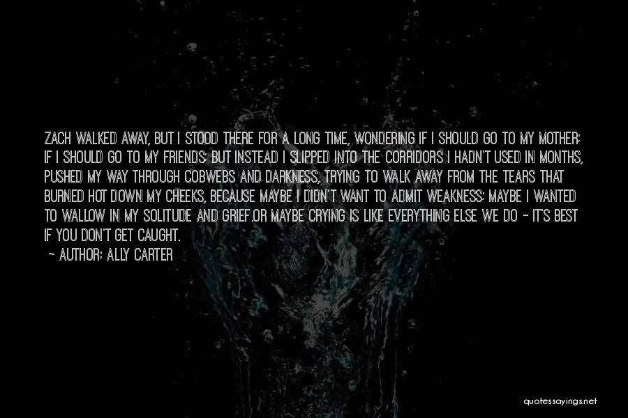 My Mother's Tears Quotes By Ally Carter