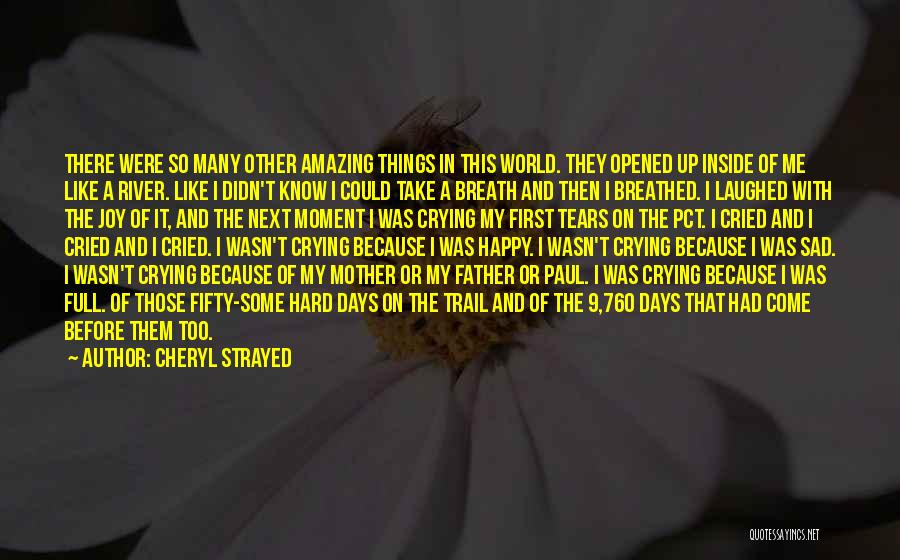 My Mother's Tears Quotes By Cheryl Strayed