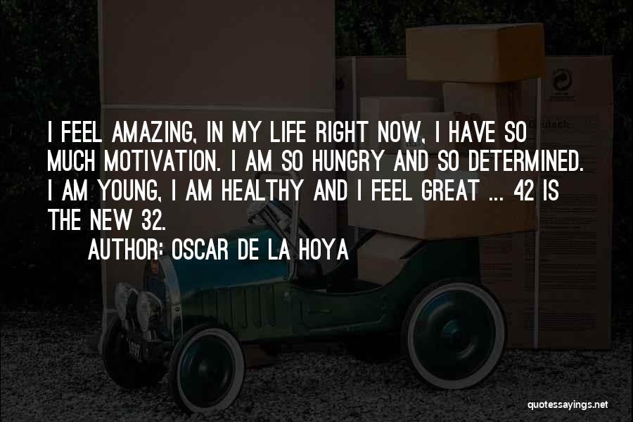 My Motivation In Life Quotes By Oscar De La Hoya