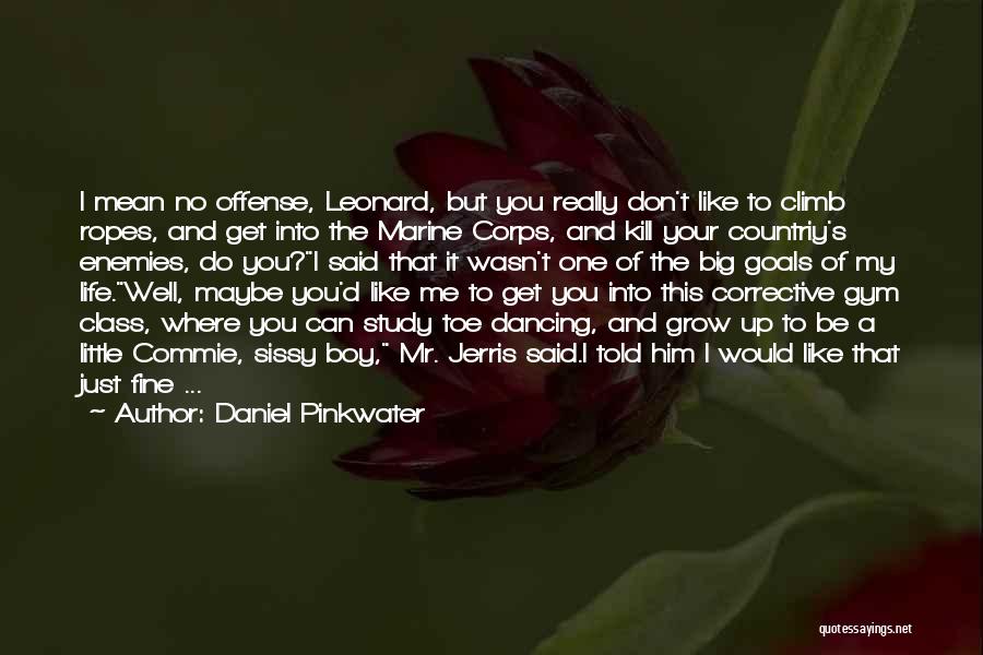 My Mr Big Quotes By Daniel Pinkwater