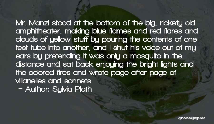 My Mr Big Quotes By Sylvia Plath