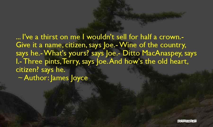 My Name Is Joe Quotes By James Joyce