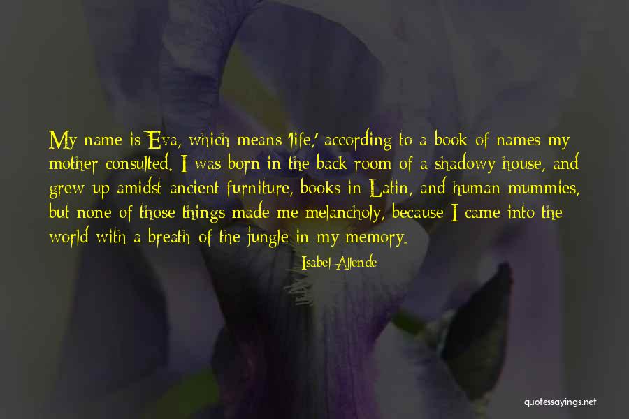 My Name Is Memory Quotes By Isabel Allende My Name Is Memory Quotes By Isabel Allende