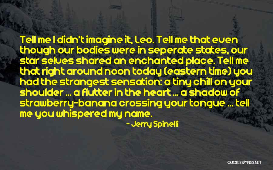 My Name Quotes By Jerry Spinelli