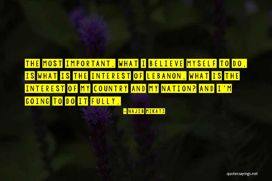 My Nation Quotes By Najib Mikati My Nation Quotes By Najib Mikati