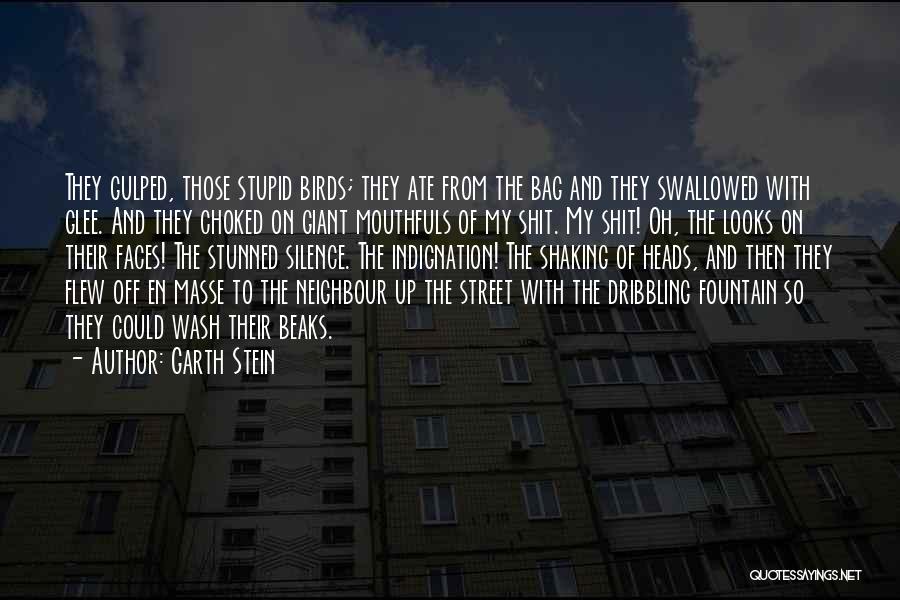 My Neighbour Quotes By Garth Stein