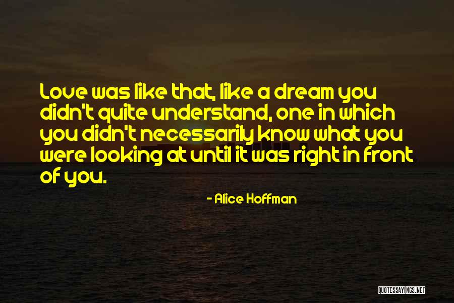 My Netzero Quotes By Alice Hoffman My Netzero Quotes By Alice Hoffman