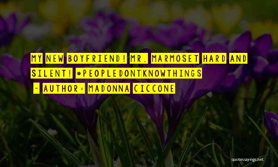 My New Boyfriend Quotes By Madonna Ciccone
