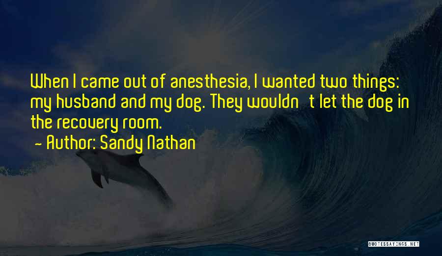 My New Room Quotes By Sandy Nathan