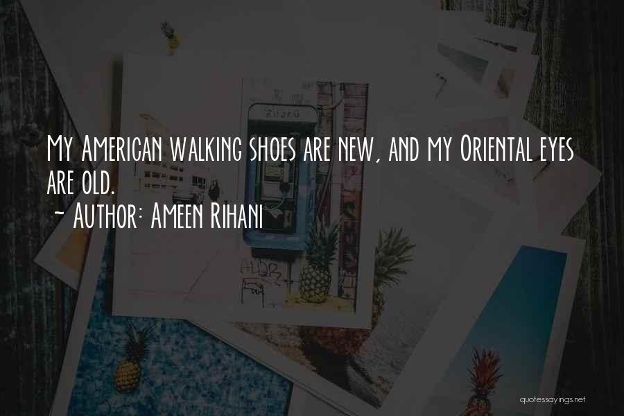 My New Shoes Quotes By Ameen Rihani