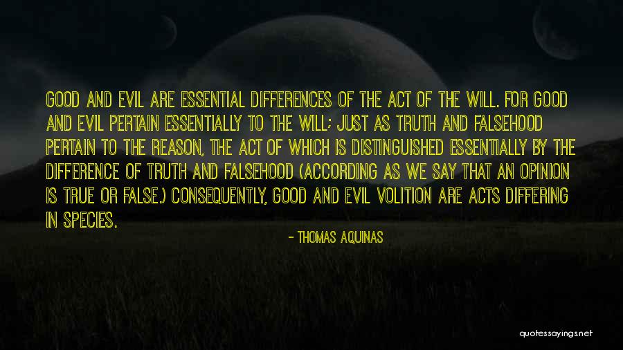 My Niece Is Remarkable Quotes By Thomas Aquinas My Niece Is Remarkable Quotes By Thomas Aquinas