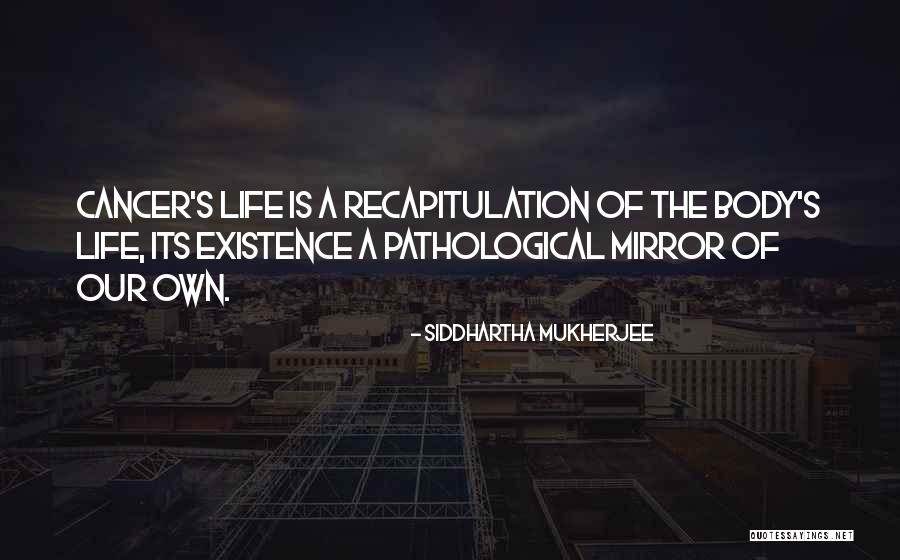 My Non Existence Quotes By Siddhartha Mukherjee My Non Existence Quotes By Siddhartha Mukherjee