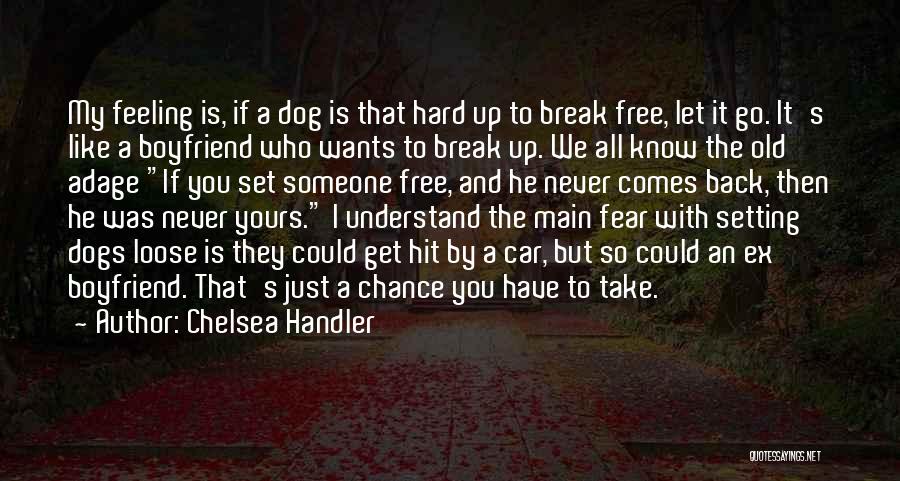 My Old Dog Quotes By Chelsea Handler