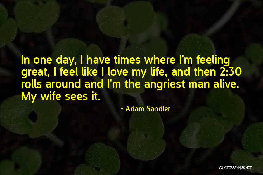 My One Great Love Quotes By Adam Sandler