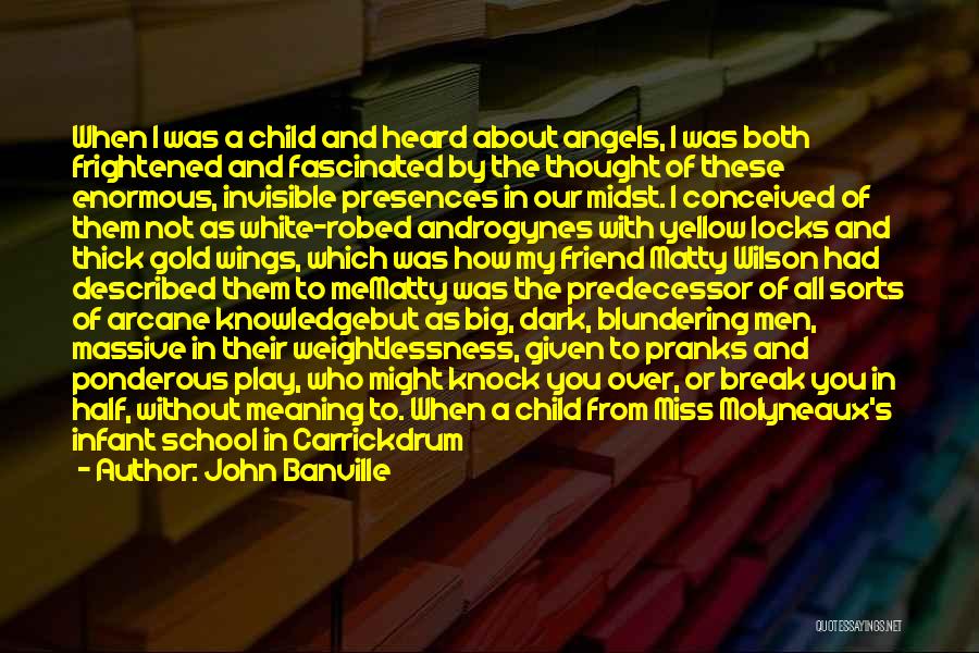 My One Year Old Quotes By John Banville