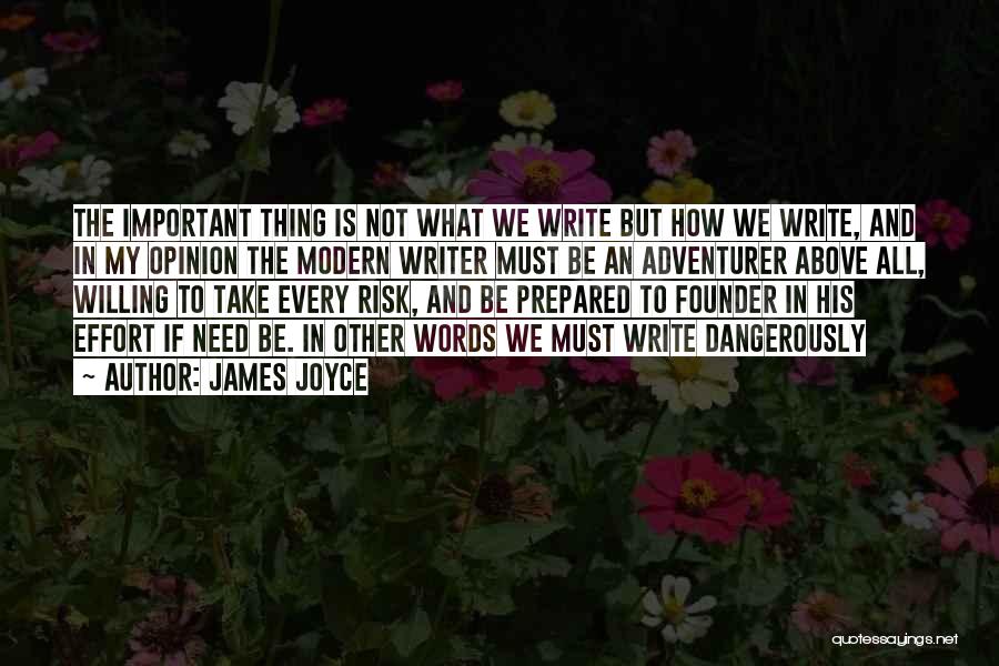 My Opinion Quotes By James Joyce