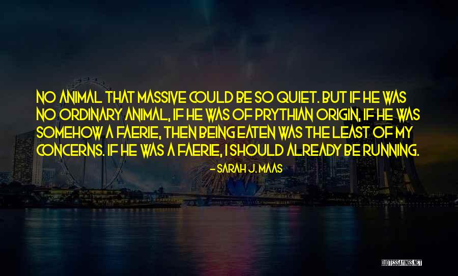 Top 100 My Origin Quotes Sayings