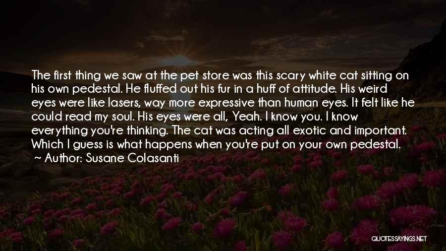 My Own Attitude Quotes By Susane Colasanti