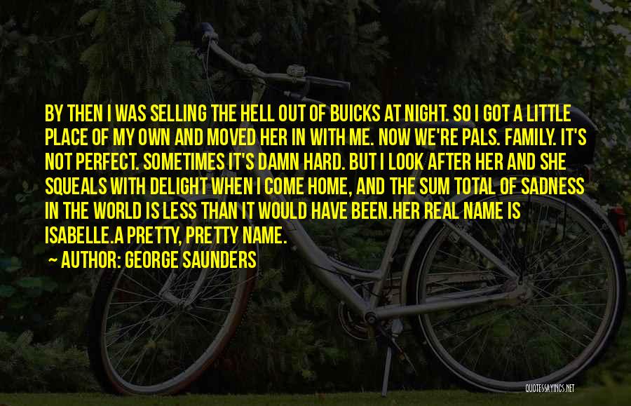 My Own Little Family Quotes By George Saunders