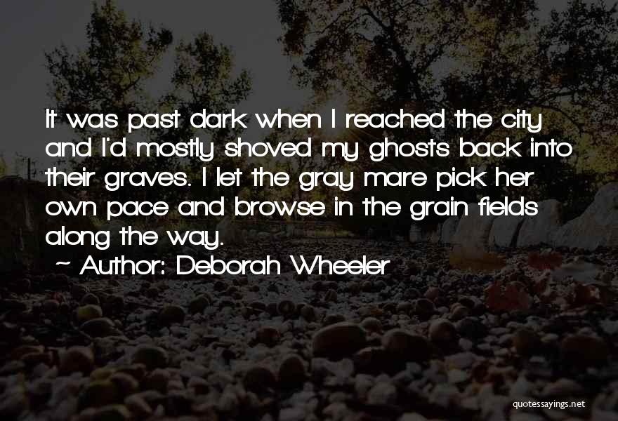 My Own Pace Quotes By Deborah Wheeler