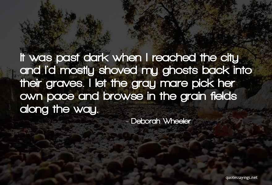 My Own Pace Quotes By Deborah Wheeler