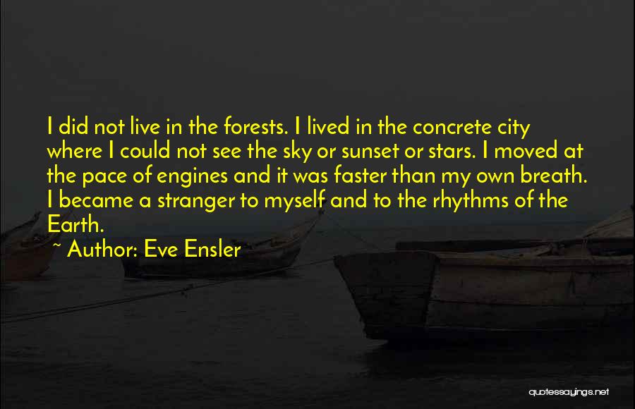 My Own Pace Quotes By Eve Ensler