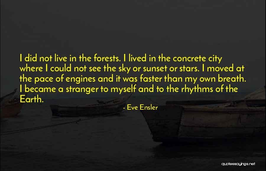 My Own Pace Quotes By Eve Ensler