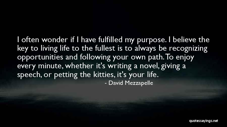 My Own Path Quotes By David Mezzapelle