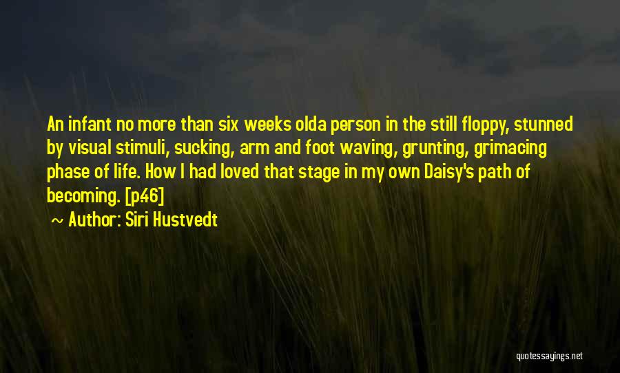 My Own Path Quotes By Siri Hustvedt