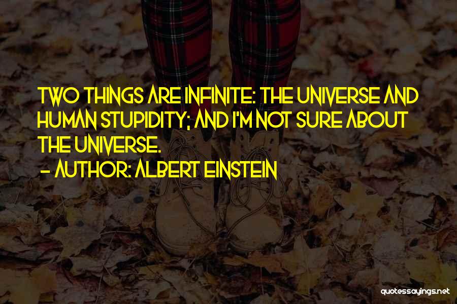 My Own Stupidity Quotes By Albert Einstein