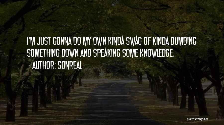 My Own Swag Quotes By SonReal