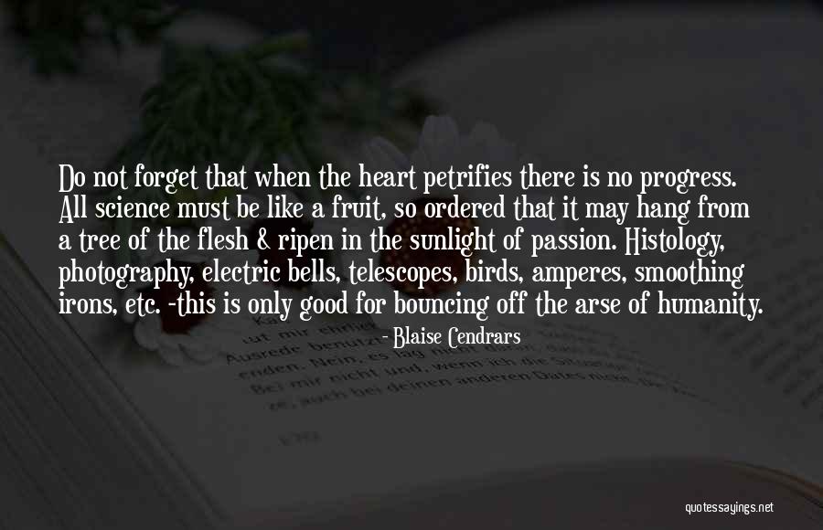My Passion Photography Quotes By Blaise Cendrars My Passion Photography Quotes By Blaise Cendrars