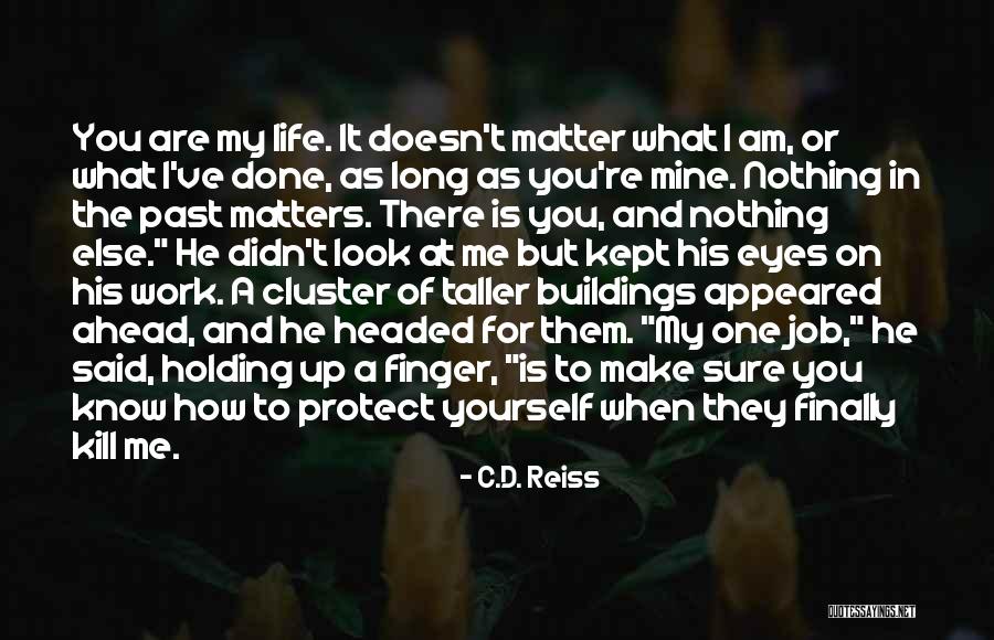 My Past Life Quotes By C.D. Reiss