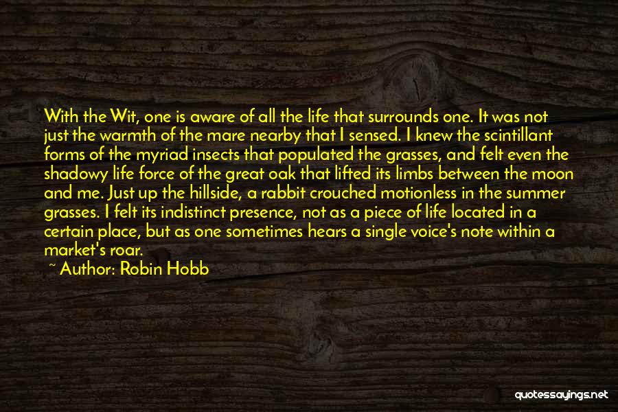 My Past Life Quotes By Robin Hobb