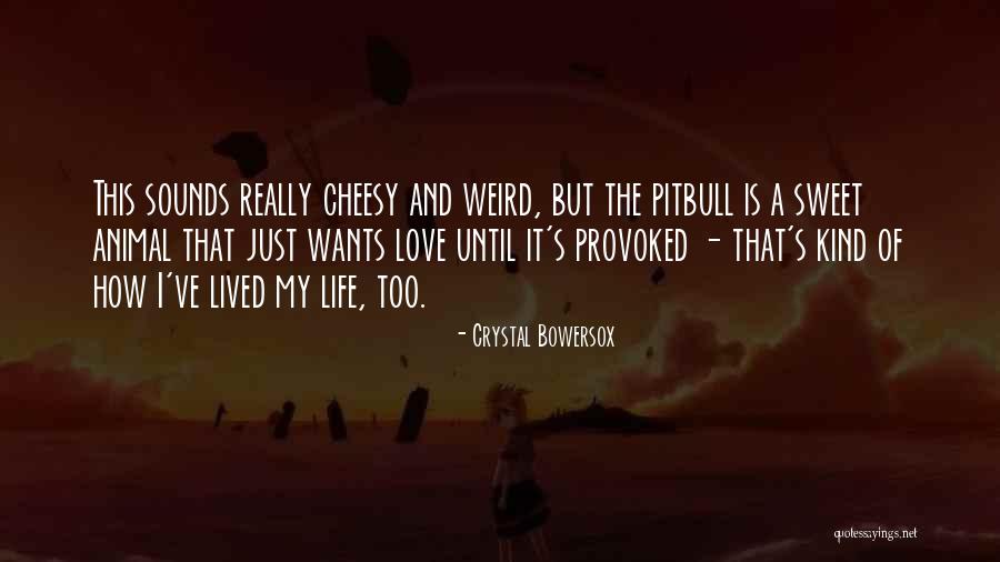 My Pitbull Quotes By Crystal Bowersox