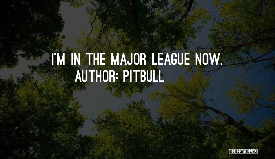 My Pitbull Quotes By Pitbull