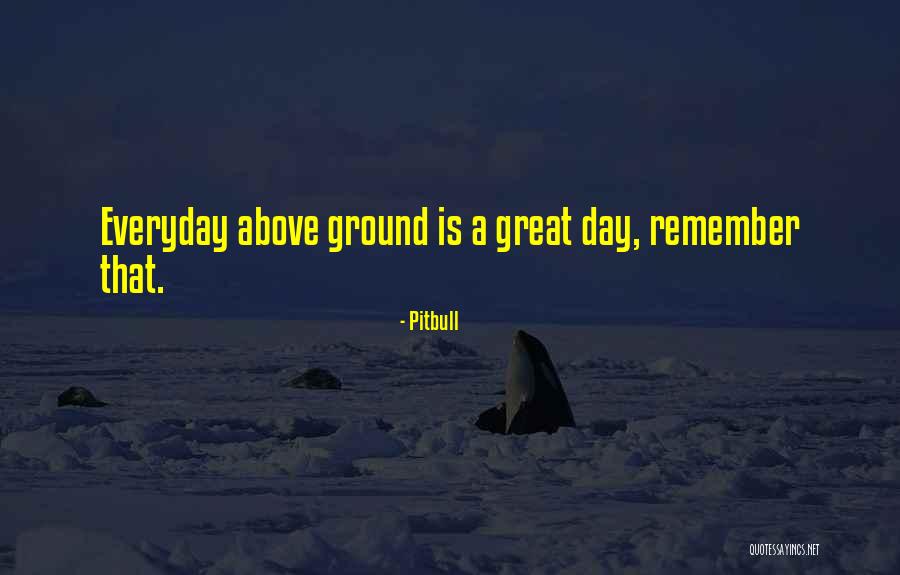 My Pitbull Quotes By Pitbull My Pitbull Quotes By Pitbull