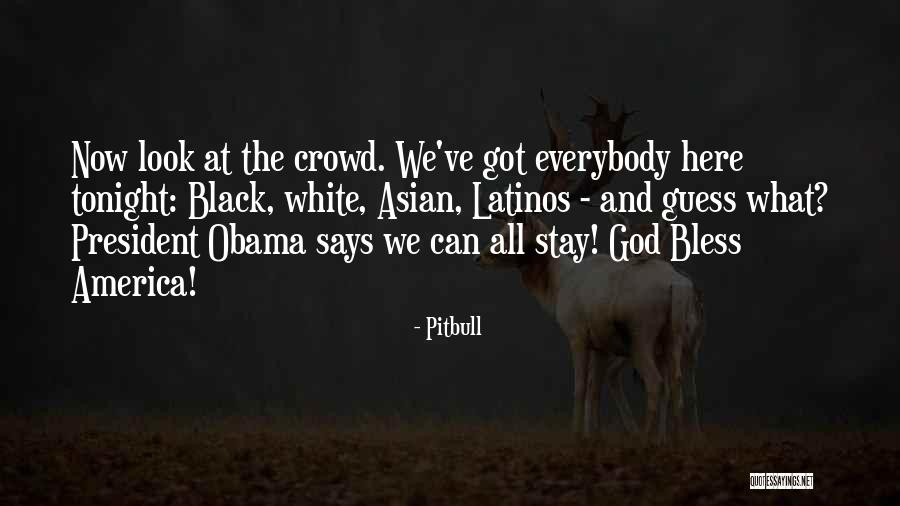 My Pitbull Quotes By Pitbull My Pitbull Quotes By Pitbull