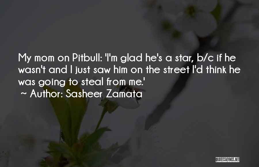 My Pitbull Quotes By Sasheer Zamata