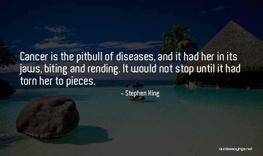 My Pitbull Quotes By Stephen King My Pitbull Quotes By Stephen King