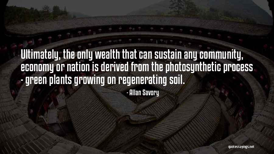 My Plants Are Growing Quotes By Allan Savory My Plants Are Growing Quotes By Allan Savory