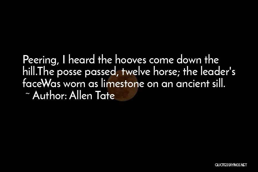 My Posse Quotes By Allen Tate