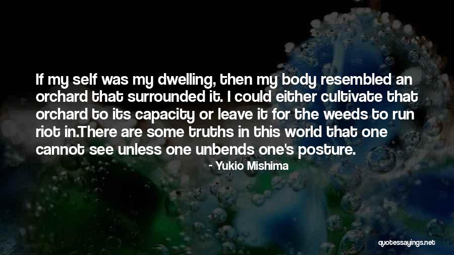 My Posture Quotes By Yukio Mishima My Posture Quotes By Yukio Mishima
