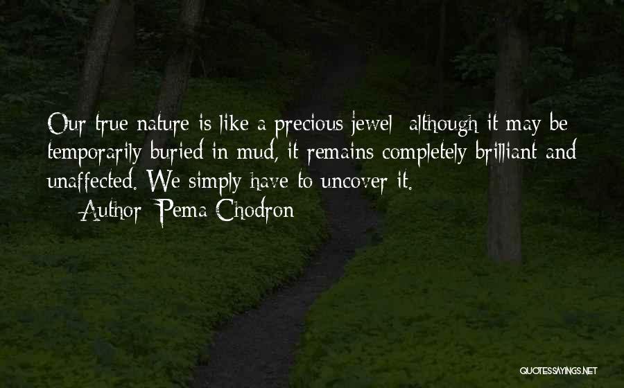 My Precious Jewel Quotes By Pema Chodron