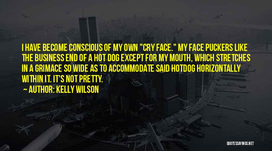 My Pretty Face Quotes By Kelly Wilson